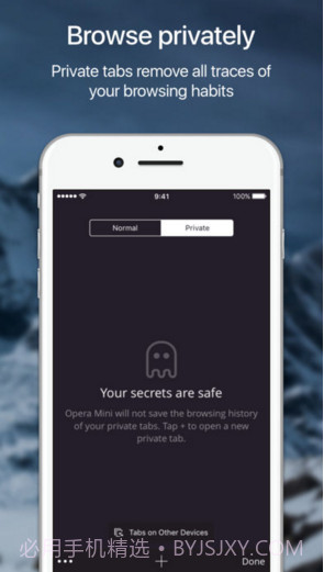 Opera Mini网页浏览器截图4