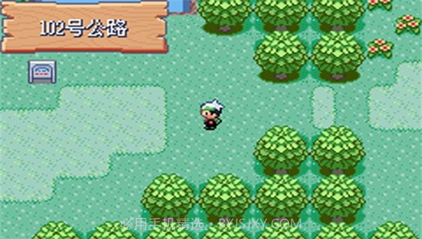 宝可梦剑盾全随机截图4 宝可梦剑盾全随机截图4