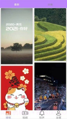 动态壁纸4k截图1