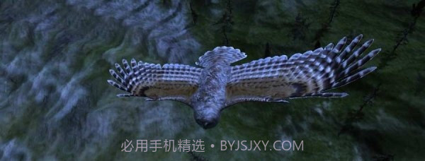 猫头鹰狩猎之旅截图1 猫头鹰狩猎之旅截图1