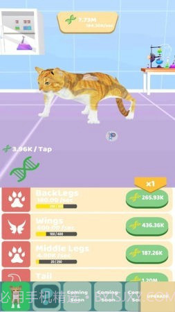 动物进化实验无限版截图2 动物进化实验无限版截图2