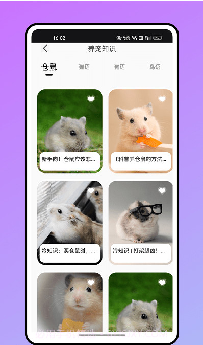 仓鼠翻译器截图3