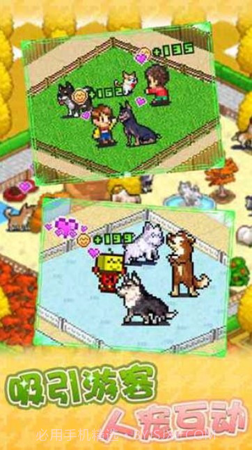 发现狗狗乐园游戏截图1