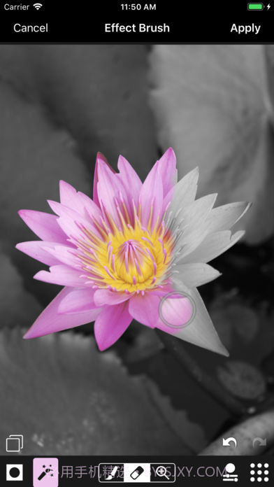 ACDSee截图2 ACDSee截图2