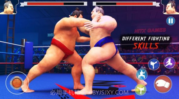 相扑摔跤手2020截图3 相扑摔跤手2020截图3