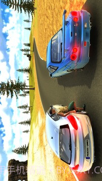 地平线漂移模拟器截图5