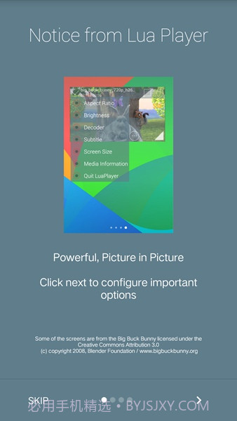 Lua Player Pro(Lua多媒体播放器)V1.4.7 安卓汉化版截图2