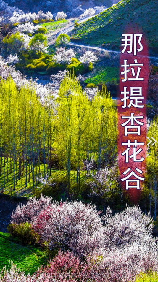 新源好地方截图2