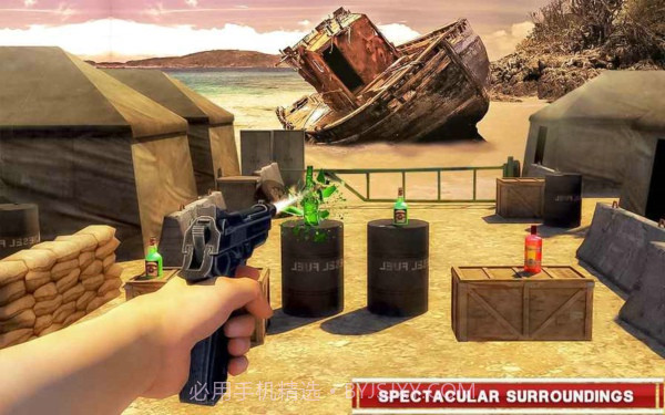 瓶子射击专家截图3