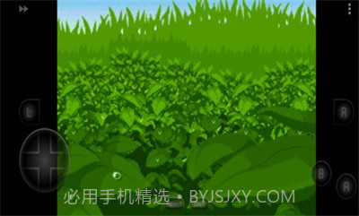 口袋妖怪四季之约截图2