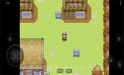 口袋妖怪四季之约截图1