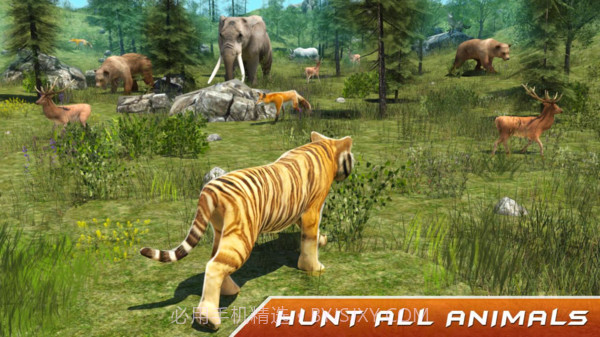 野生老虎模拟器截图1 野生老虎模拟器截图1