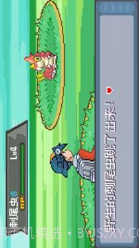 口袋妖怪：极光石截图4