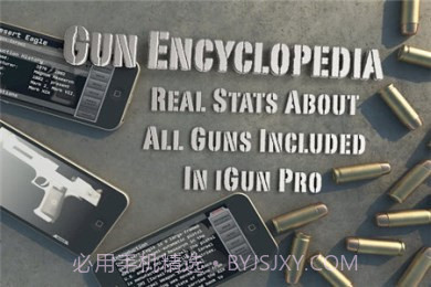 爱枪支专业版正式版截图1