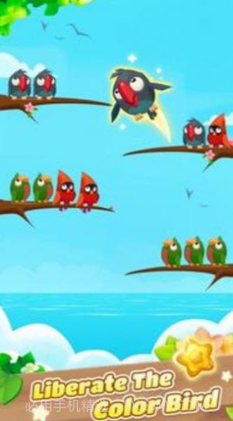 彩色鸟排序截图2 彩色鸟排序截图2