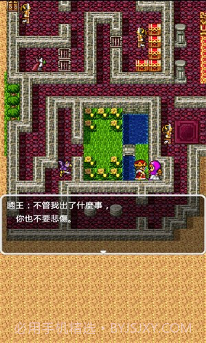 勇者斗恶龙2官方版截图4