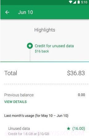 Google Fi项目截图3