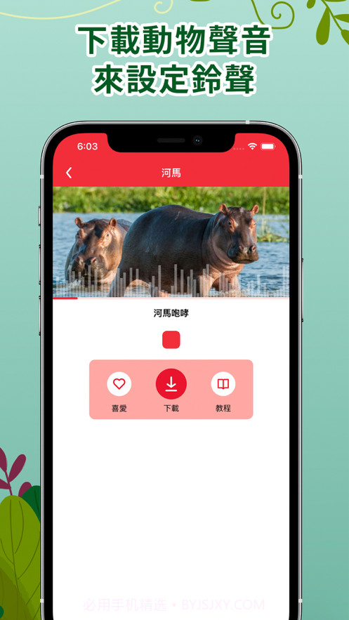动物声音铃声截图5 动物声音铃声截图5