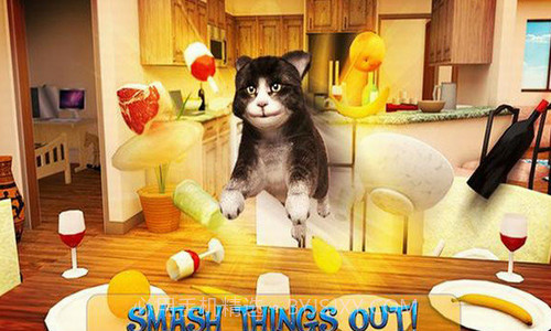 可爱猫大冒险截图3