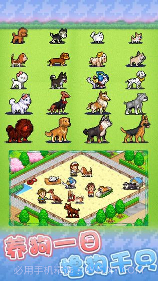 发现狗狗乐园截图1 发现狗狗乐园截图1