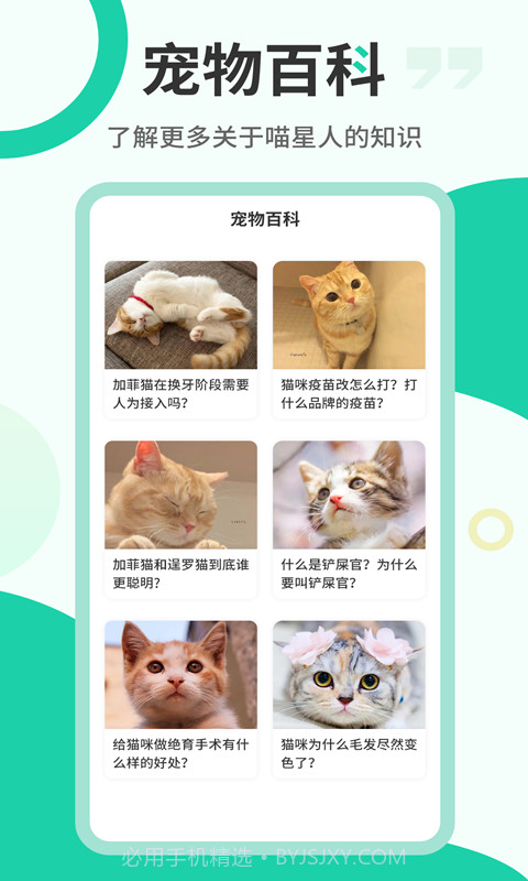 猫语翻译机截图5 猫语翻译机截图5