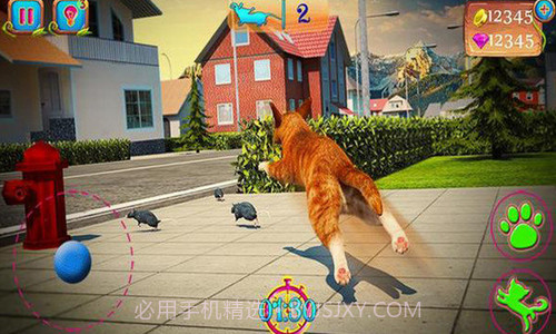 可爱猫大冒险截图1