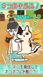 猫咪咖啡厅截图3 猫咪咖啡厅截图3