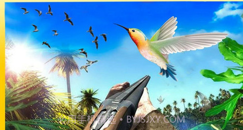 猎鸟大师截图3 猎鸟大师截图3