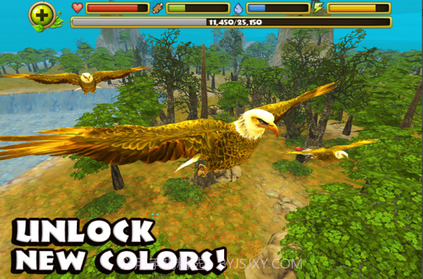 老鹰模拟器2截图1