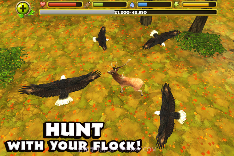老鹰模拟器2截图3