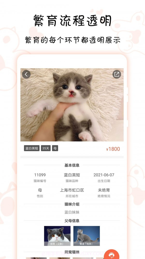 家连猫舍截图3 家连猫舍截图3