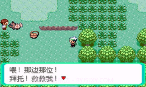 口袋妖怪:超级绿宝石8.0(悟饭)截图2 口袋妖怪:超级绿宝石8.0(悟饭)截图2