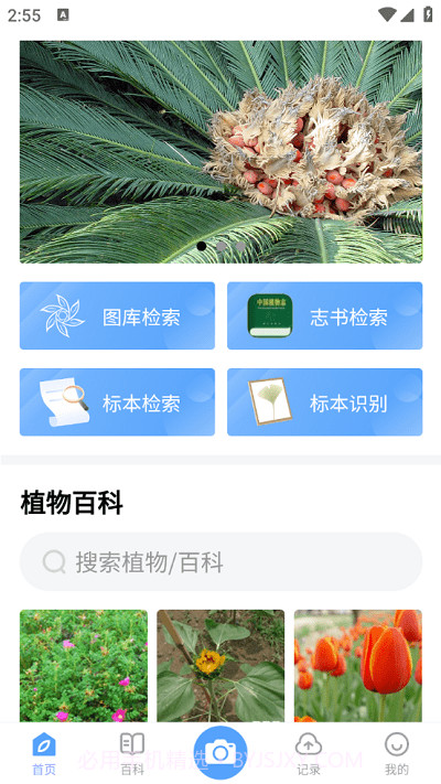 植物智截图1 植物智截图1