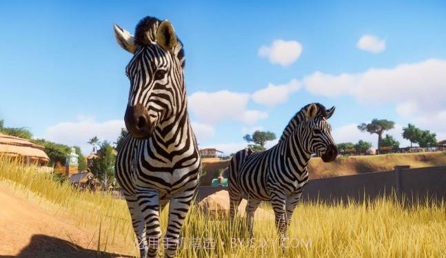 动物园之星免费截图4 动物园之星免费截图4