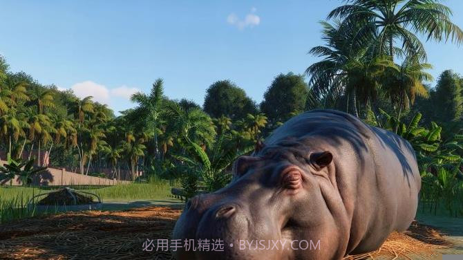 动物园之星免费截图6 动物园之星免费截图6