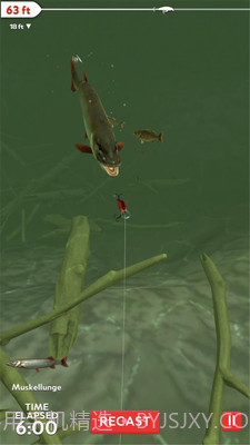 真实3D钓鱼APP截图2 真实3D钓鱼APP截图2