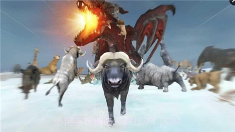 野生动物Online截图3 野生动物Online截图3