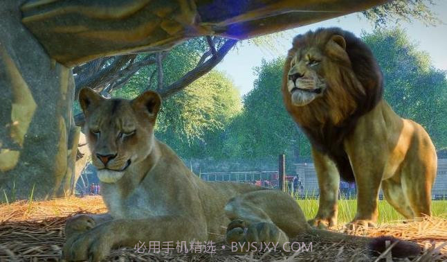 动物园之星免费截图1 动物园之星免费截图1