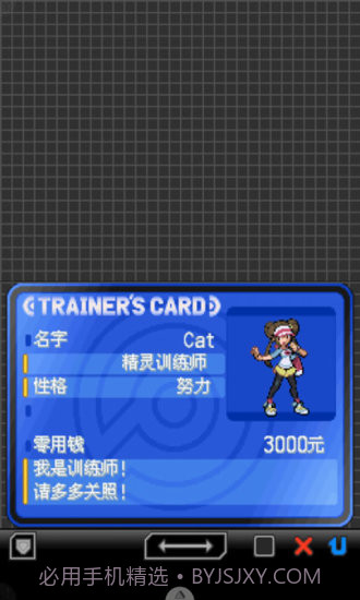 口袋妖怪：黑2截图2