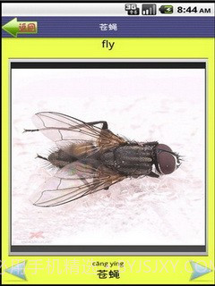 看图识字昆虫篇截图4 看图识字昆虫篇截图4
