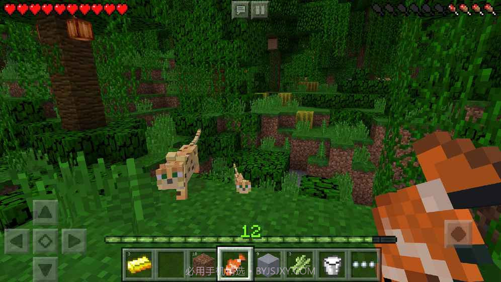 我的世界1.11.0.6基岩版截图2 我的世界1.11.0.6基岩版截图2