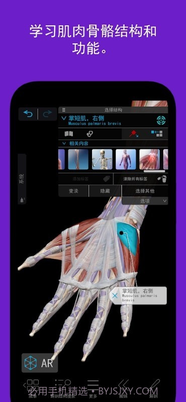 人体解剖学图谱截图2 人体解剖学图谱截图2
