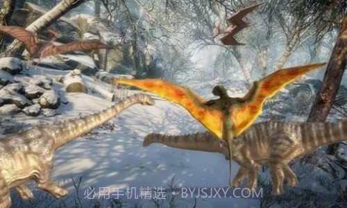 变形龙模拟器截图3 变形龙模拟器截图3