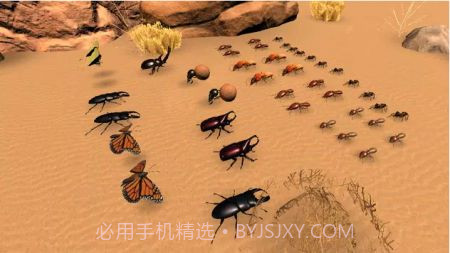 昆虫战斗模拟器截图2