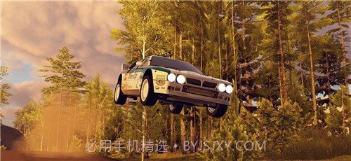 CarX拉力赛中文版截图1 CarX拉力赛中文版截图1
