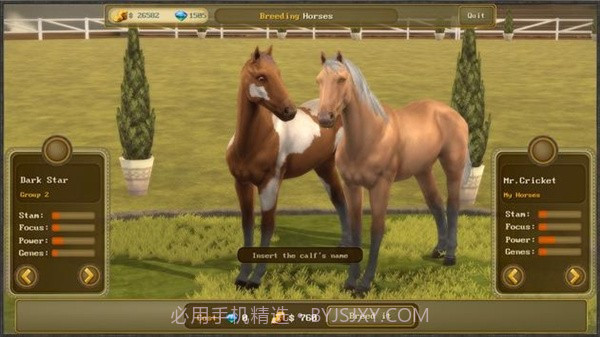 障碍赛马冠军3截图2 障碍赛马冠军3截图2