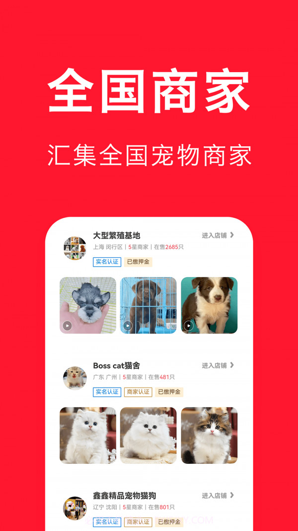 宠物宝截图2 宠物宝截图2