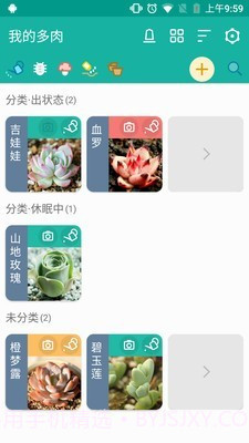 多肉成长记截图2 多肉成长记截图2
