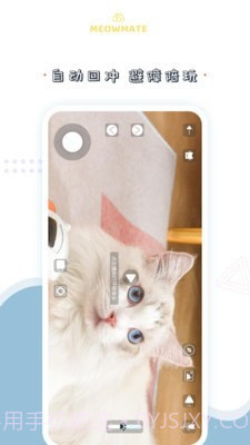 MeowMate截图2