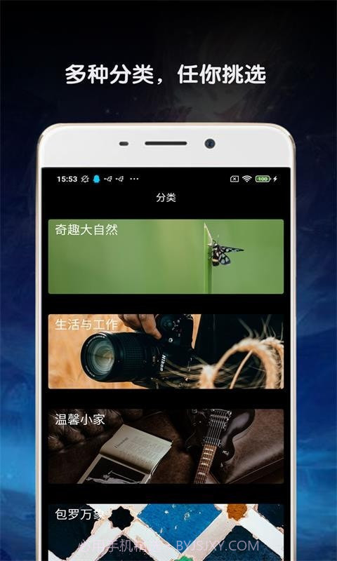 金胜主题壁纸大全截图2